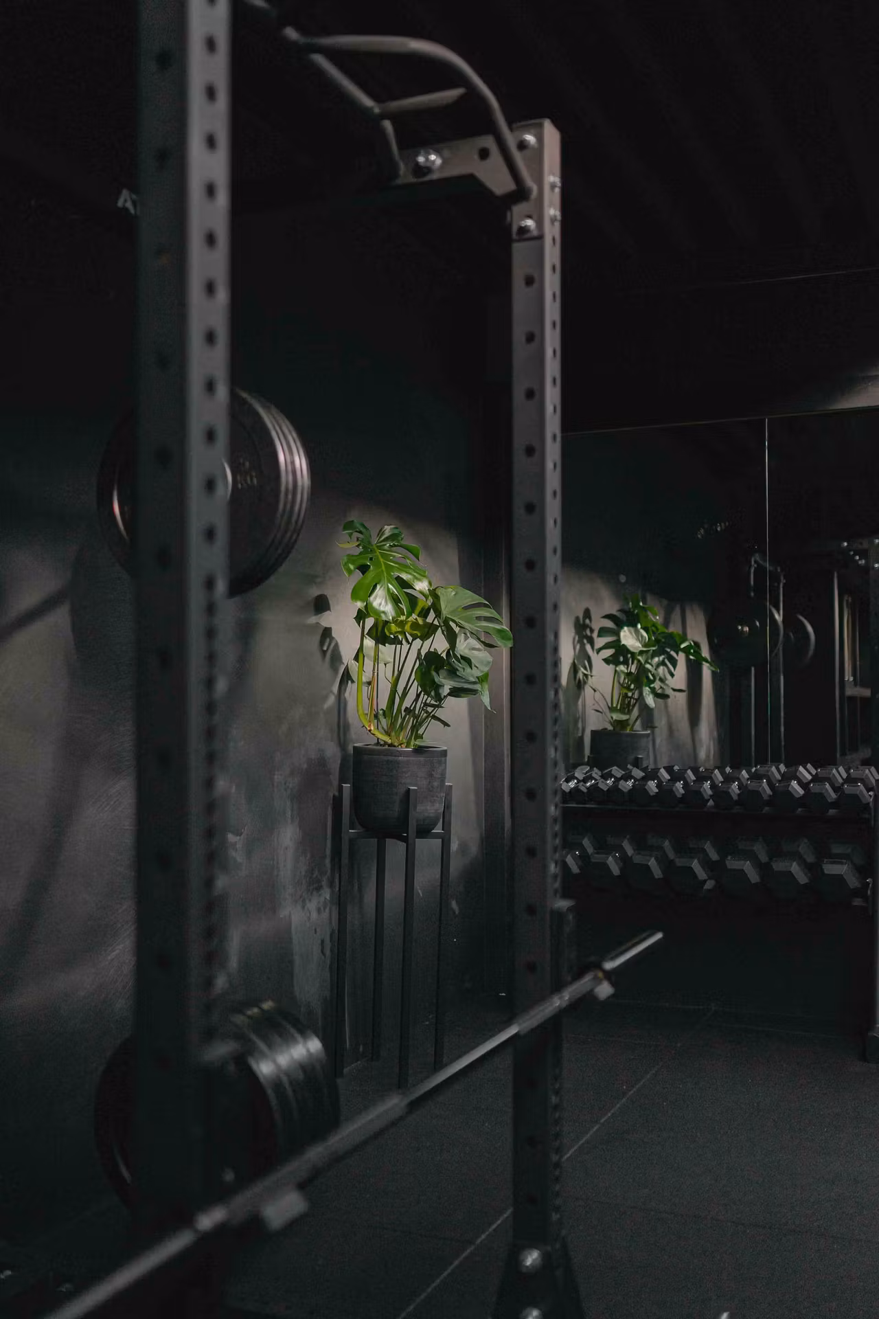 Stronger Things gym interieur, rack met plant